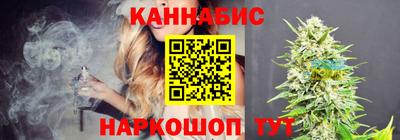 МДПВ Пугачёв